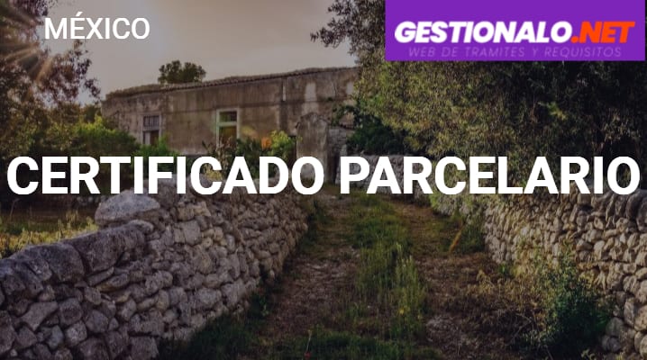 ᐈ Certificado Parcelario 【Cómo Obtenerlo, Reposición y MÁS】
