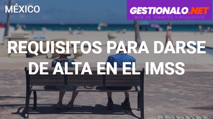 ᐈ Requisitos para Darse de Alta en el IMSS 【Documentos y MÁS】